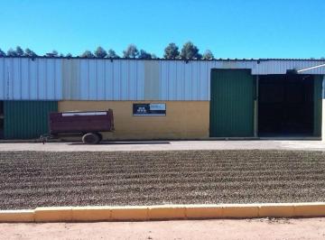 0b7e040eb62f54b6b4895c1012b3ef4e.jpg · Fazenda Com 9 Dormitórios À Venda, m² por R$ - Zona Rural - Campanha/minas Gerais