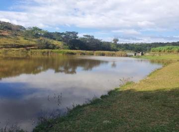 f5d223a6741dd774792e950236e1d1b8.jpg · Fazenda À Venda, m² por R$2.800.000 - Melo Viana - Esmeraldas/minas Gerais
