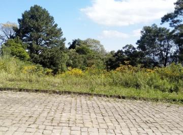 Terreno · 330m² · Terreno À Venda, Borghetto - Garibaldi/rs