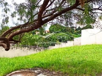 2023/02/de7baaebbb0a0e619f3af4d2ee13d565.jpg · Terreno - Jardim Jurema