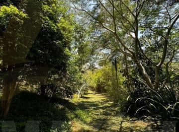 2023/11/1ca32221877c8ef644d83ee765ff98cd.jpg · Rural - Centro