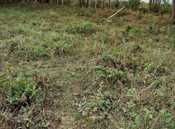 Rural , Conselheiro Lafaiete · Chacara No Rancho Novo