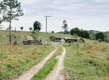 Rural , Pariquera-Açu · Imoveis - Zona Rural