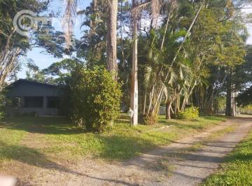 Rural · 1m² · Imoveis - Em Registro