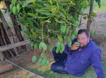 Terreno , Silvianópolis · Chácara Sonho Meu