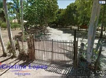 sitio-chacara-zona-rural-teresina1692391290607ixvvp.jpg · Imoveis - Zona Rural