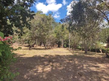 Terreno · 1584m² · Lote Plano No Condomínio Vale Do Tamanduá