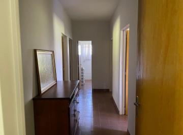 2024/02/1290629926e9e63b3f016fdfbbe3c3e7.jpg · Rural - Poção
