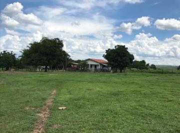 2024/02/b6d89683a8d80dd4f76b0494ddcc86ba.jpg · Rural - Poção