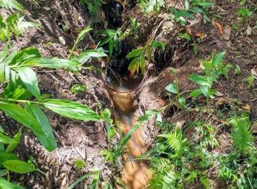 Terreno , São João da Mata · Sítio Sossego Da Natureza