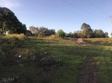 Terreno · 12m² · Terreno Em Monte Bérico Situado Próximo a Matrizes Gama