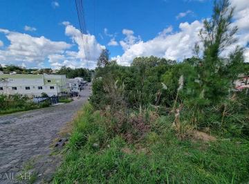 Terreno · 720m² · Terreno Bosque Das Araucárias - Desvio Rizzo