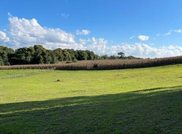 Rural · 1m² · Imoveis - No Lageado