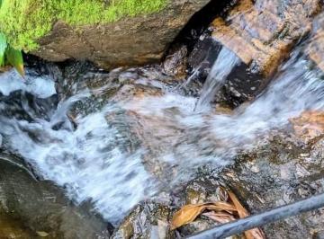Terreno , Cambuí · Chácara Cantinho Da Roça