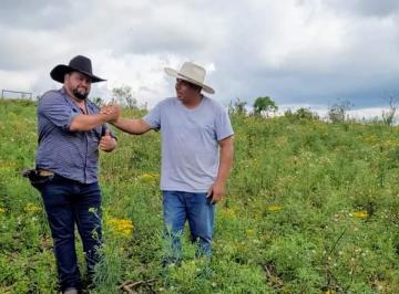 Terreno , Cambuí · Terreno Campo Das Margaridas