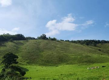 Terreno , São José do Alegre · Terreno Vista Alegre