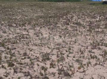 Terreno · 360m² · Terreno Em Farol de São Thomé - Campos Dos Goytacazes, Rj