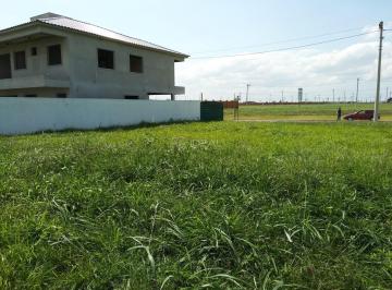 Terreno no Alphaville Campos · Terreno À Venda No Condomínio Alphaville Campos Em Campos Rj