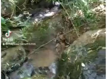 Comercial , Extrema · Terreno Rico Em Água Com 2.000 m