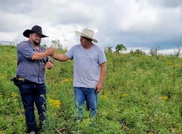 Terreno , Cambuí · Terreno Campo Das Margaridas