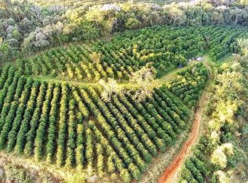 Terreno , Pouso Alegre · Café Das Montanhas 2