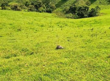 Terreno , São José do Alegre · Terreno