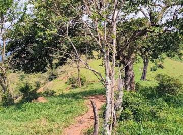 Terreno , São José do Alegre · Terro Vista Alegre Plano