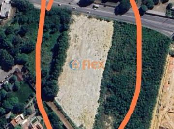 Terreno · 10000m² · Excelente Terreno de 10.000 m² de Frente a Es010 Para Locação