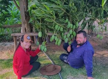 Terreno , Pouso Alegre · Chácara Sonho Meu