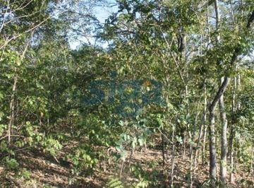 Terreno · 100000m² · Terreno Bem Localizado Em Jaboticatubas/mg