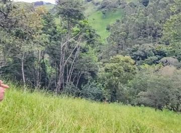Rural , Cambuí · Sítio Taiuveiras