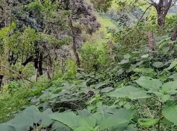 Terreno , Cambuí · Sítio Taiuveiras