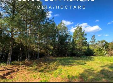 Rural , Gravataí · Vendo Meia/hectare Com Riacho 400 m Do Asfalto