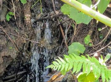 Terreno , Cambuí · Chácara Riacho Da Colina P2