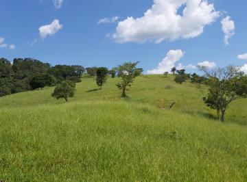 Rural · 15m² · Sítio Para Venda Em Socorro, Zona Rural