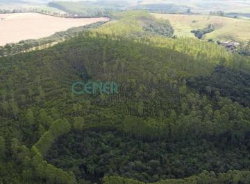 Rural · 121m² · Fazenda de 121 Ha Ótima Para Lavoura Próximo a Madre de Deus de Minas