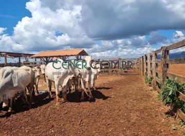 Rural · 1031m² · Fazenda de 1.031 Ha a 65 Km de Belo Horizonte E Na Área de Expansão de Congonhas Mg