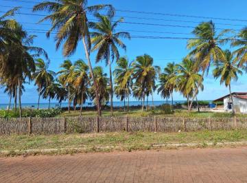 2024/04/5e0259d1ee01bf8dd4709ba5f97d14cb.jpg · Lote Para Venda de 1.000 m² - Carnaubinha, Touros/rn