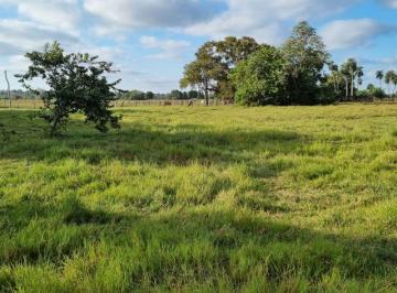 Rural · 25480000m² · Fazenda a 80 Km de Cuiabá - Mt