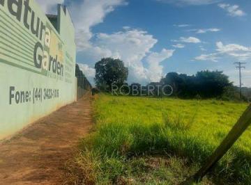 Terreno · 3000m² · Aluga - Se Terreno 3000 m² Perto Havan Em Paranavaí - Pr