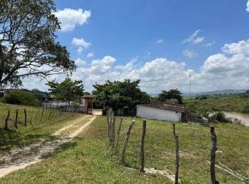 Rural · 530000m² · 4 Quartos · 30 Vagas · Chácara Gravatá Porta Florada