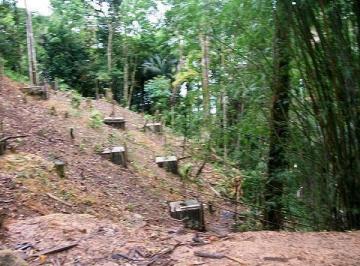 UbilewL8mCIizjtnTzLjM2cNXPkTl4SO.jpg · Terreno À Venda, 1625 m² por R$8.000.000 - Taguaiba - Guarujá/sp