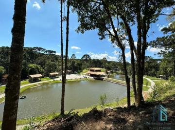 Foto 35 · Chácara Linda, Açude Grande, Poço Artesiano, 150 m Do Asfalto, Em Campina Grande Do Sul, Pr