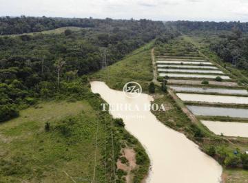 yPCFl9DVgEdhlt2pvqsaOsCKeANtQCBm.jpg · Fazenda 300 Hectares - Porto Velho/ro