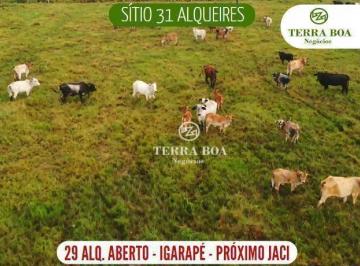RGtvF3lswRQD61GmNjdZbZL38sF7awWh.jpg · Sítio 31 Alqueires - 29 Alqueires Abertos