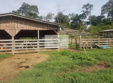Rural · 59800m² · 3 Quartos · 1 Vaga · Sítio Com 59.800 m², Com Residência, Nascente, Horta