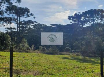 Terreno · 8142m² · Terreno 8.142 m², Escriturado, Pode Ser Financiado Pelo Banco, Varias Opções de Lotes, Parcela Diret