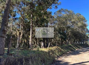 Rural · 8310m² · 1 Quarto · 1 Vaga · Sítio Com 8.310 m², No Lajeado, Apenas 300 m Do Asfalto, Aceita Financiamento
