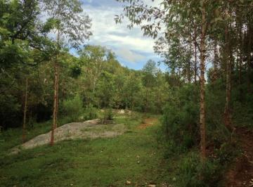 9141.jpg · Terreno Em Santa Felicidade Com 80.400 m²