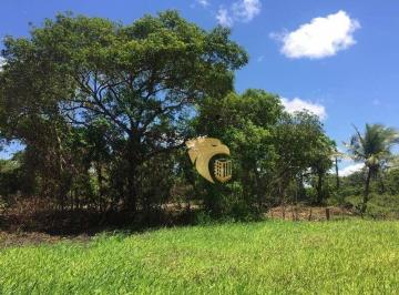 299c5033e8d788469887f9599ec2356b.jpg · Chácara Com 3 Dormitórios À Venda, 30000 m² por R$390.000 - Mangueiral - Horizonte/ce